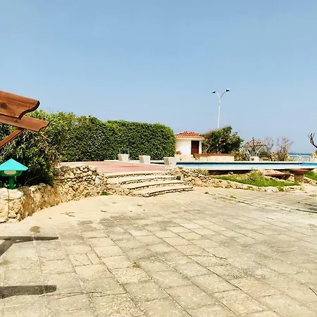 Ninni 몰라디바리